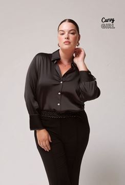 Picture of CURVY GIRL ELEGANT SATIN BLOUSE